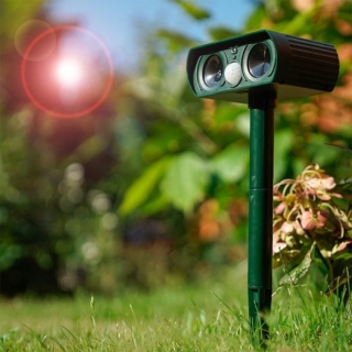 solaren-ured-protiv-kotki-kucheta-grizachi-i-divi-zhivotni-solar-tier-abwehr-dual-1